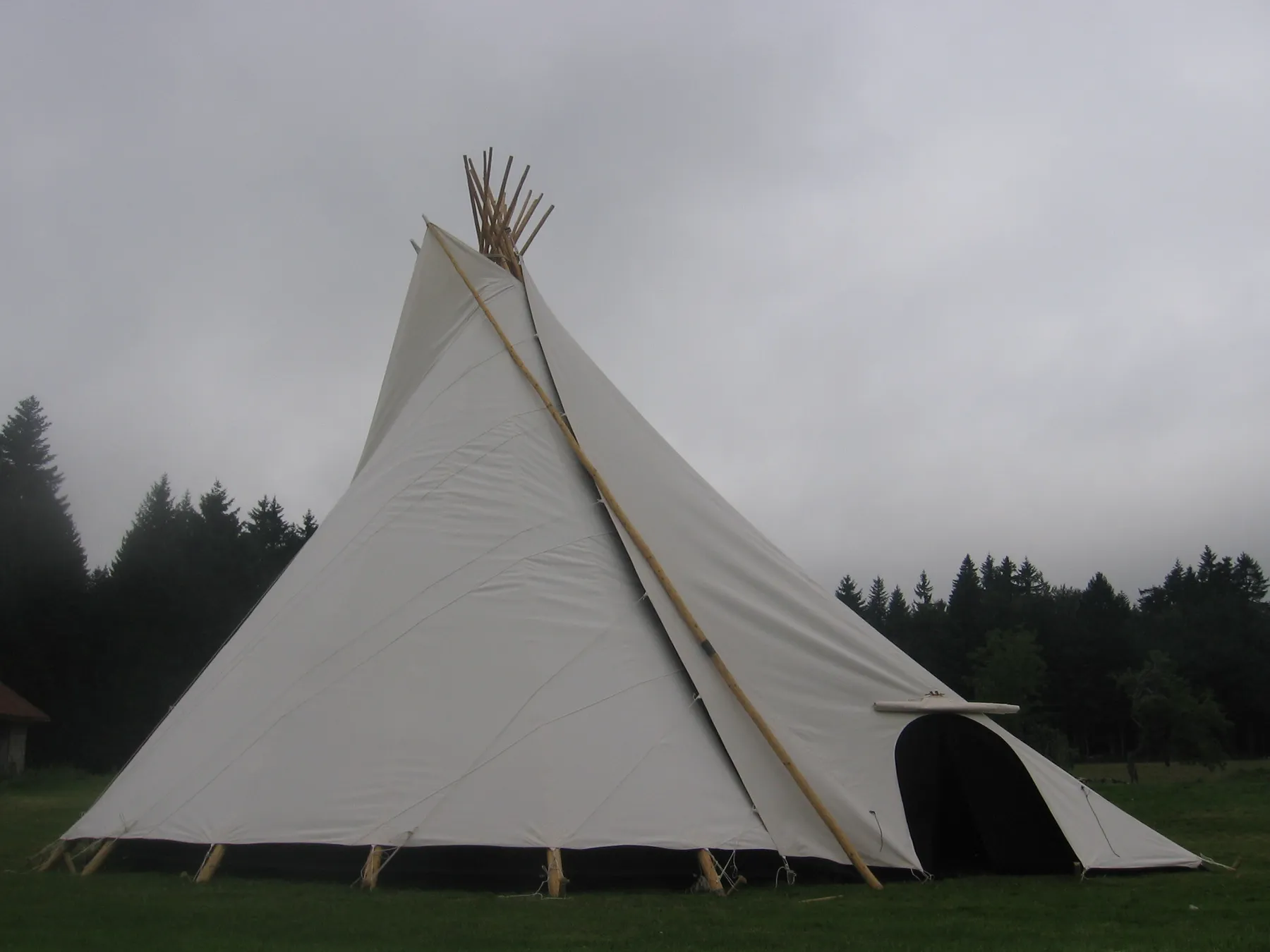 Tipi traditionnel blanc en lisière de forêt